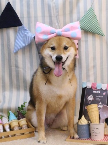 20250525リンちゃん